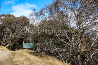 CurrangoJS_Sat002