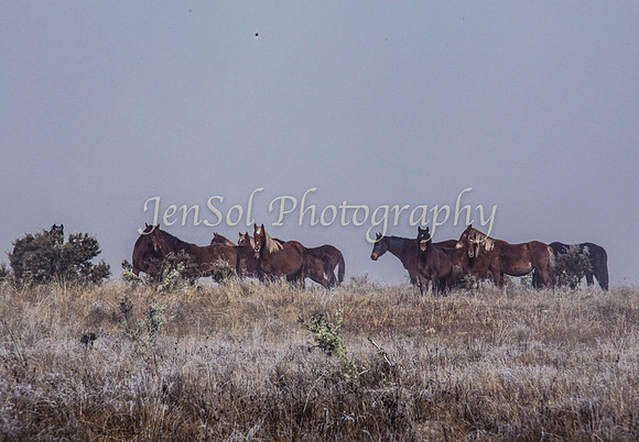 CurrangoJS_Sun006