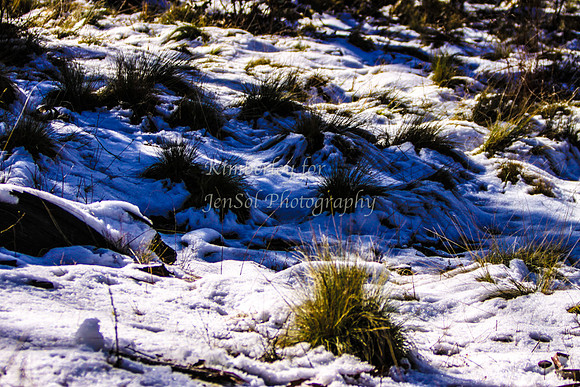 LongPlainKJS_0121