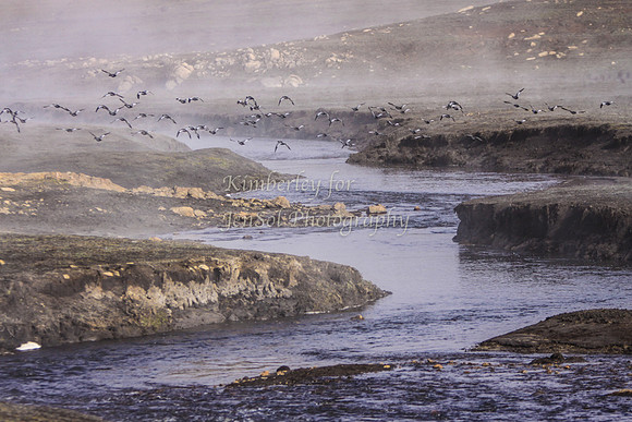 CurrangoKJS_Sun064