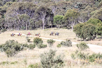 BrumbiesApr2011_0101
