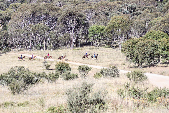 BrumbiesApr2011_0101