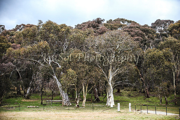 CurrangoJS_Sun055