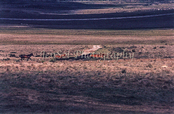 IMG_0001