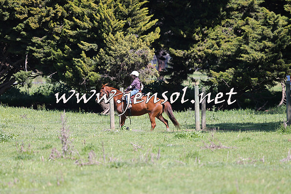 BattleOnTheBidgee_2374