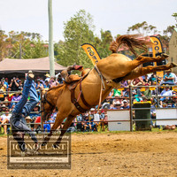 JindabyneRodeo2019_2280