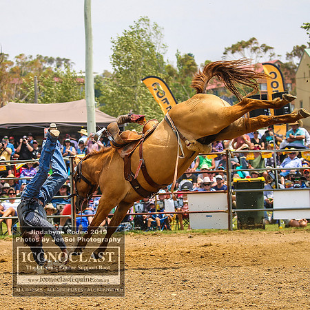JindabyneRodeo2019_2280