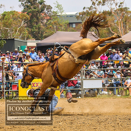 JindabyneRodeo2019_2297