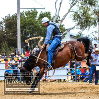 JindabyneRodeo2019_1821