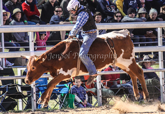 IMG_0141Jindy