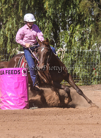 Dubbo2 220