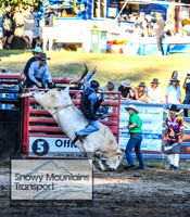 CoomaRodeo2024_0549