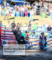 CoomaRodeo2024_0413