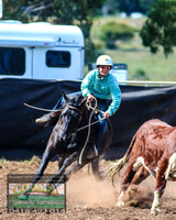 NimmitabelCampdraft2021_3866