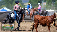 NimmitabelCampdraft2021_3911