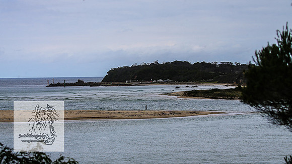 MallacootaMar23_0091