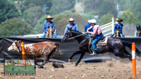 NimmitabelCampdraft2021_3837