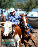 NimmitabelCampdraft2021_3778