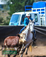 NimmitabelCampdraft2021_3891