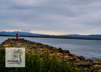 MallacootaMar23_0028