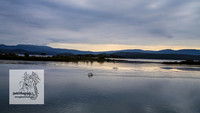 MallacootaMar23_0009