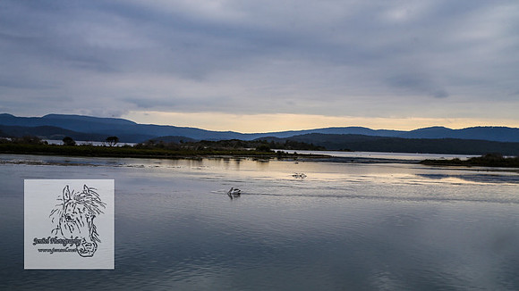 MallacootaMar23_0009