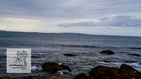 MallacootaMar23_0026