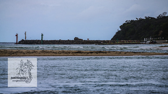 MallacootaMar23_0081
