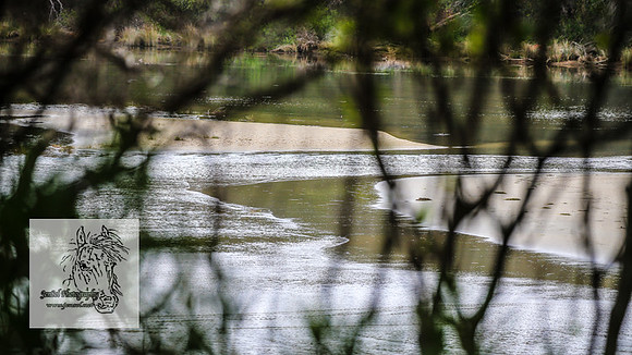 MallacootaMar23_0089
