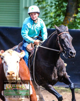 NimmitabelCampdraft2021_3877