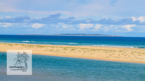 MallacootaMar23_0195