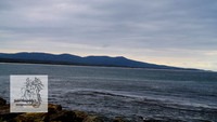 MallacootaMar23_0027