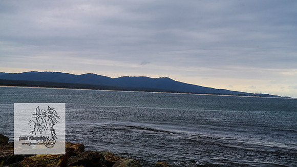 MallacootaMar23_0027