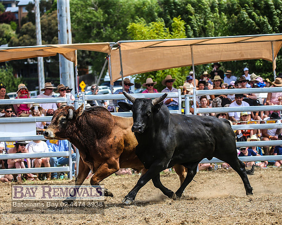 JindabyneRodeo2022_2041