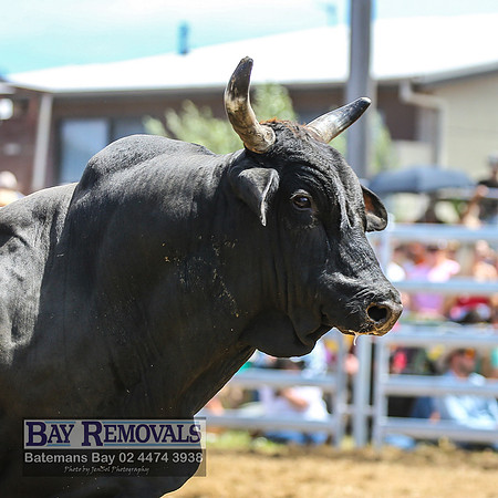 JindabyneRodeo2022_1413