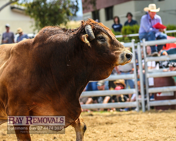 JindabyneRodeo2022_2039