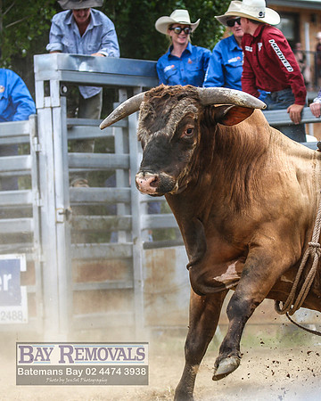 JindabyneRodeo2022_2471