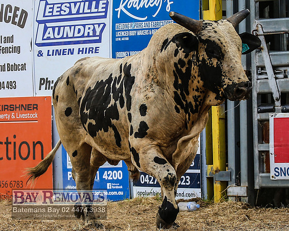 JindabyneRodeo2022_2844