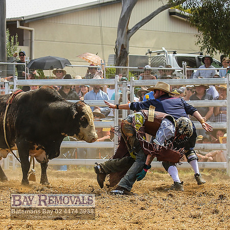 JindabyneRodeo2022_1932