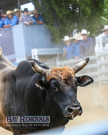 JindabyneRodeo2022_3061