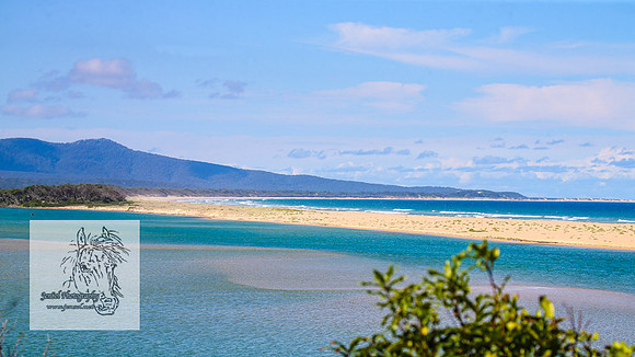 MallacootaMar23_0199