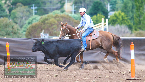 NimmitabelCampdraft2021_6867