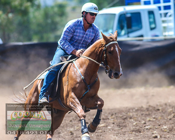 NimmitabelCampdraft2021_6508