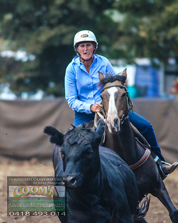 NimmitabelCampdraft2021_6453