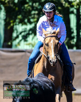 NimmitabelCampdraft2021_6114