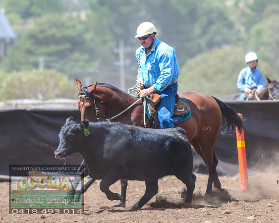 NimmitabelCampdraft2021_6632