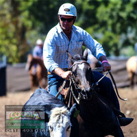 NimmitabelCampdraft2021_6155