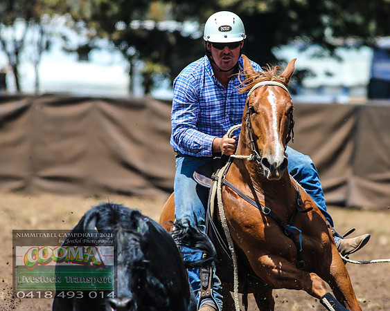 NimmitabelCampdraft2021_6516