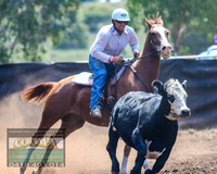 NimmitabelCampdraft2021_6223