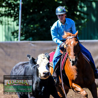 NimmitabelCampdraft2021_2838